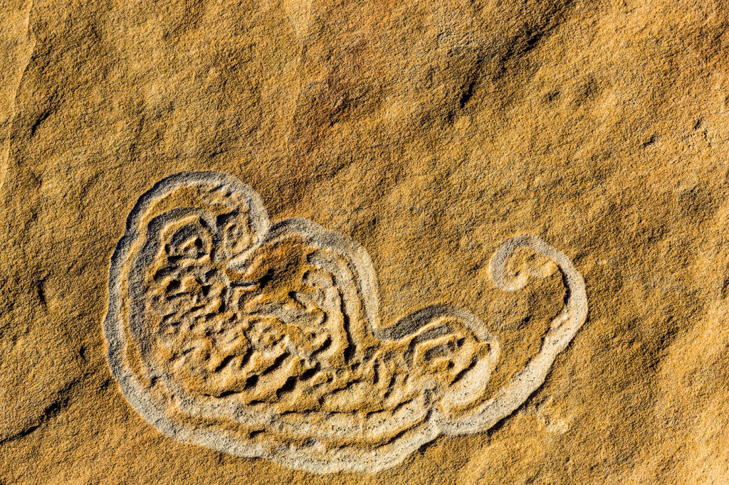 Stromatolites in the Vermillion Cliffs Wilderness, Arizona, USA