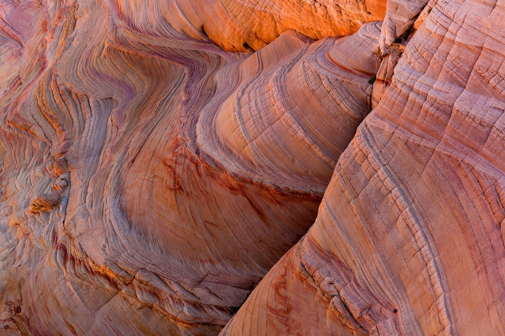 Sandstone patterns in the Vermillion Cliffs Wilderness, Arizona, USA