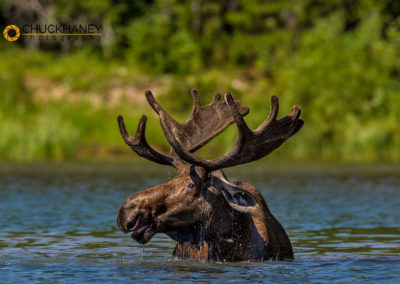 Glacier National Photo Workshop